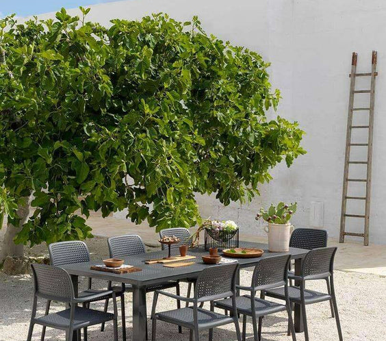 Nardi Bora 9-Piece Dining Set - Outdoorsiness