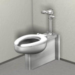 Floor Mount Toilet - Stainless
