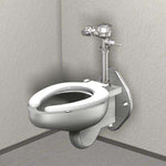 Wall Hung Toilet with Plastic Seat - Outdoorsiness