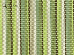 Stripe Kiwi